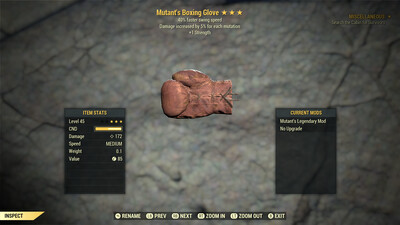 Mutant 1S/SS Boxing Glove