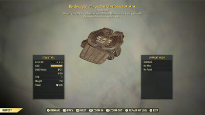 Bolstering 1S/Sneak Leather Torso