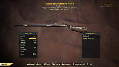 Furious 50/25 Black Powder Rifle