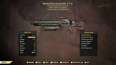 Bloodied Explosive FMSWA Assault Rifle