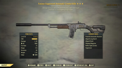 Furious Explosive 15 Combat Rifle