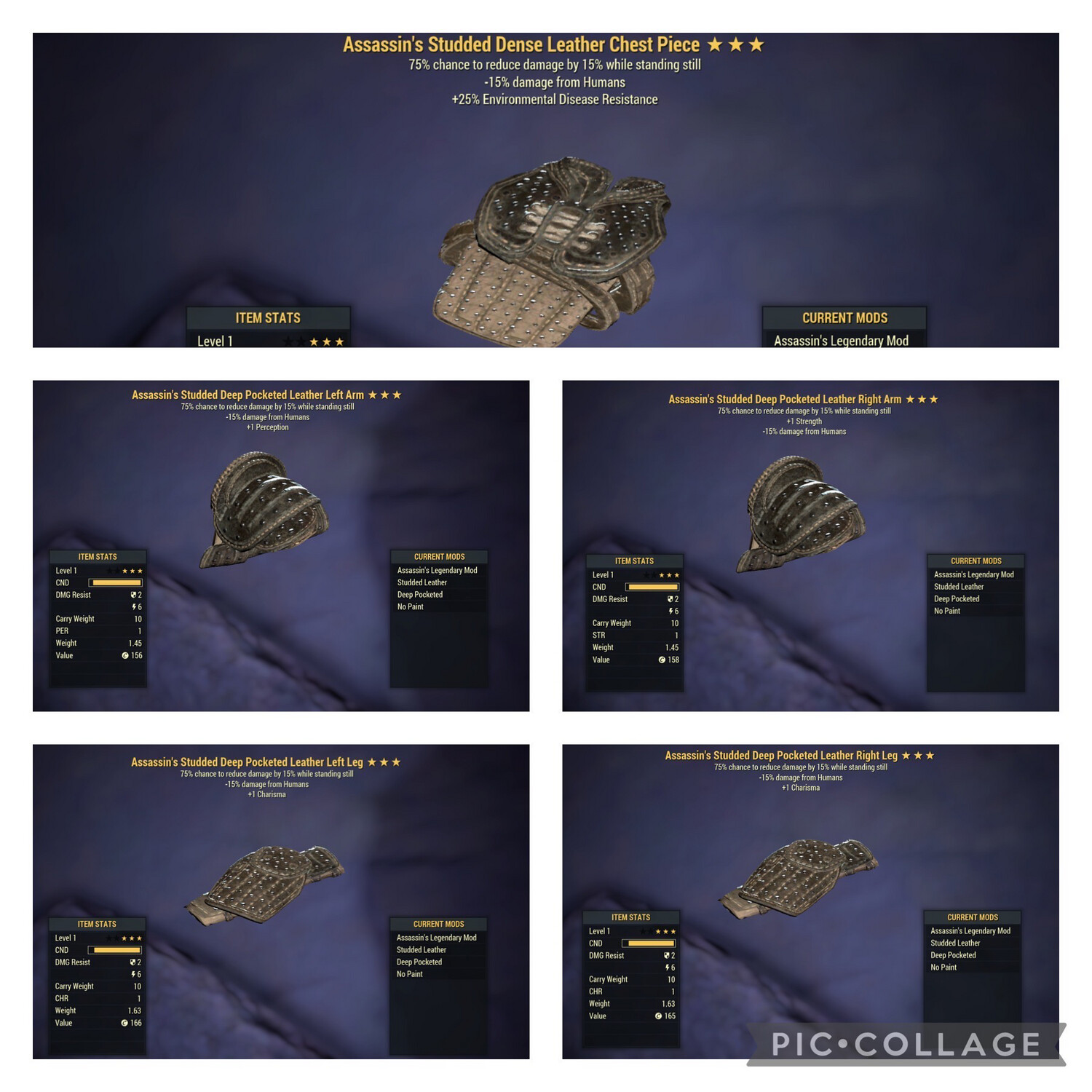 Assassins Sentinel Leather Level 1 Set (toxic Pvp’ers Know Lol)