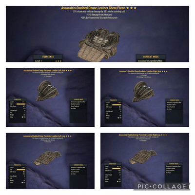 Assassins Sentinel Leather Level 1 Set (toxic Pvp’ers Know Lol)