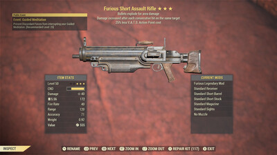 Furious Explosive 25 Assault Rifle