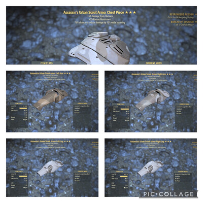Assassins Cavalier Scout Set