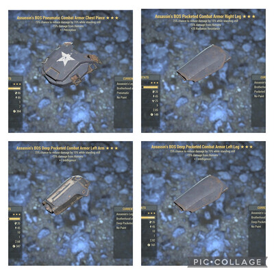 Assassins Sentinel Combat Armor 4/5 Set