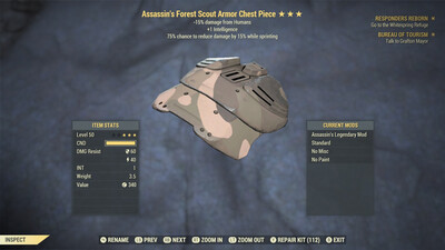 Assassins 1I/Cavalier F Scout Torso