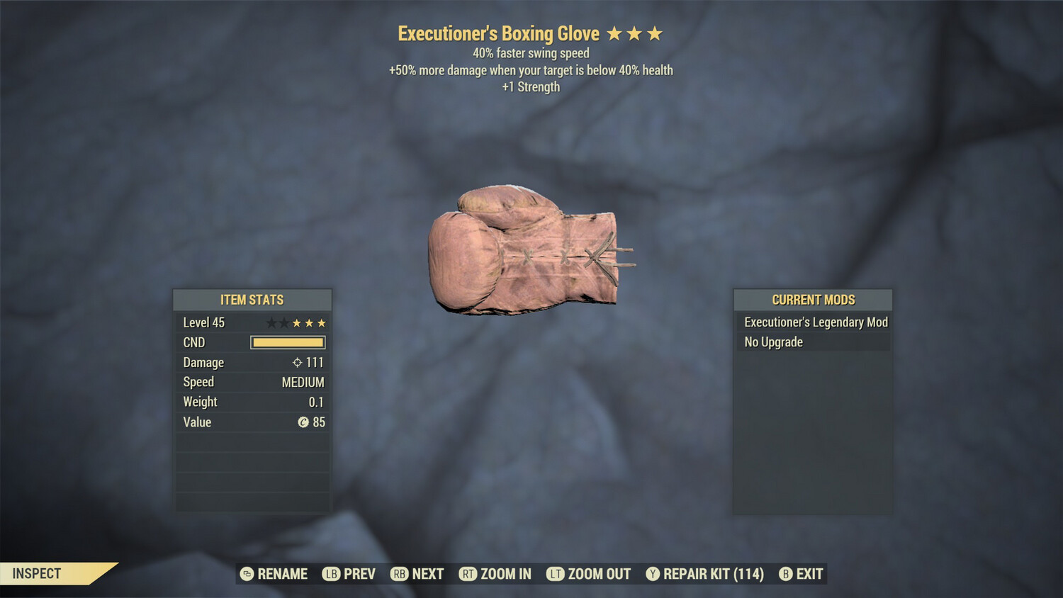 Executioners 1S/SS Boxing Glove