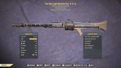 Two Shot 25/25 Light Machine Gun Lvl 30