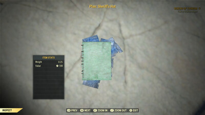 Sheriffs Hat