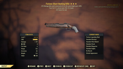 Furious 25/15 Hunting Rifle Lvl 1