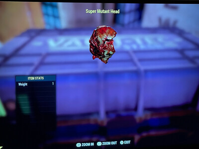 Super Mutant Head