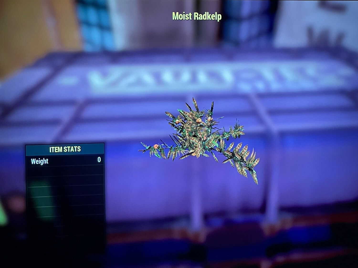 Moist Rsdkelp
