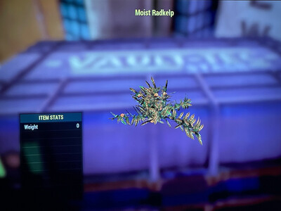 Moist Rsdkelp