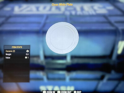 Clean White Plate