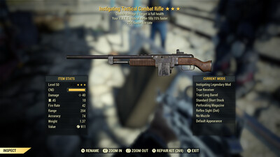 Instigating 25/15 Combat Rifle
