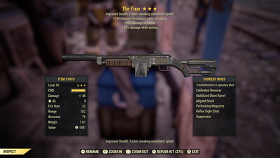 The Fixer: Troubleshooter 25/250