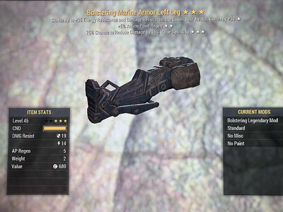 Bolstering AP Cavalier Marine Armor LL