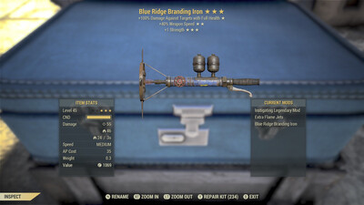 Blue Ridge Branding Iron (standard Perks)