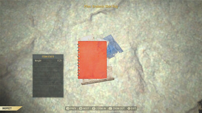 Brahmin Skin Rug