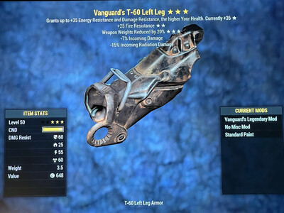 Vanguard FR WWR T60 LL