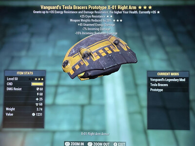 Vanguard Cryo WWR X01 RA