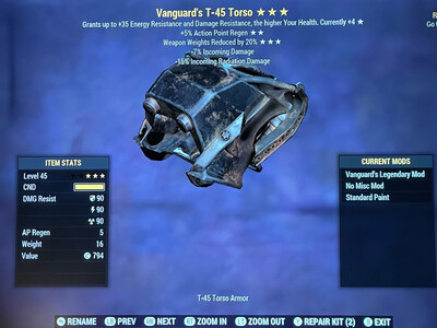 Vanguard AP WWR T45 Torso