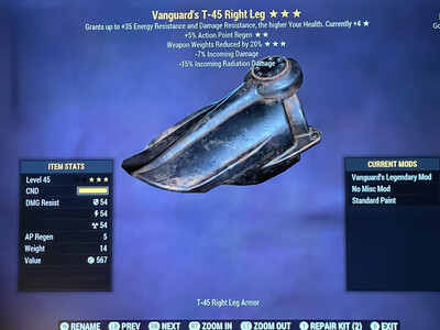 Vanguard AP WWR T45 RL