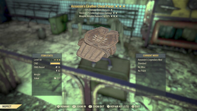 Assassins Explosive WWR Leather Torso