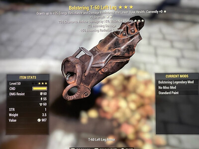 Bolstering 1S Sentinel T60 LL