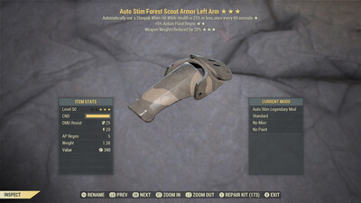 Autostim AP WWR F Scout LA
