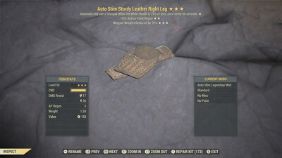 Auto Stim AP/WWR Leather RL