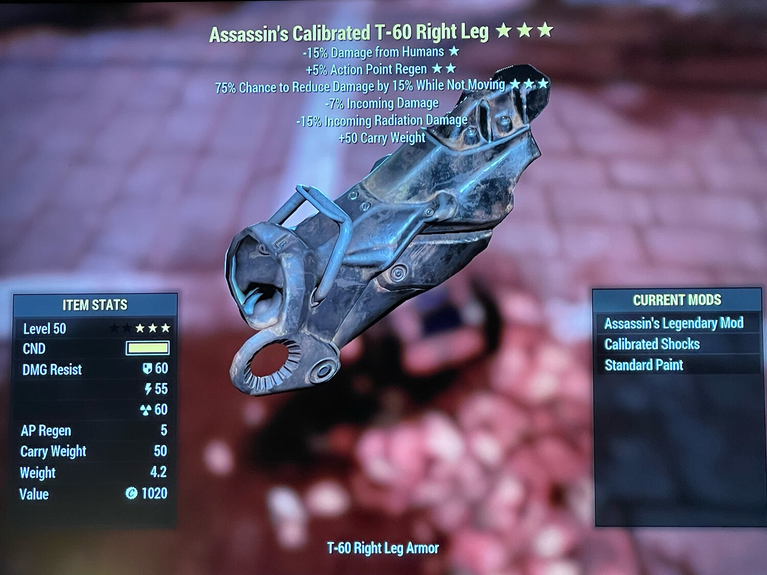 Assassins AP Sentinel T60 RL