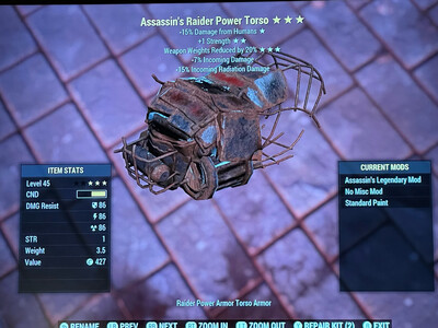 Assassins 1S WWR Raider Torso