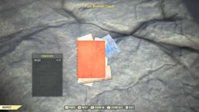 Brahmin Couch