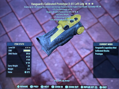 Vanguard FR WWR X01 LL