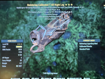 Bolstering AP Sentinel T60 RL