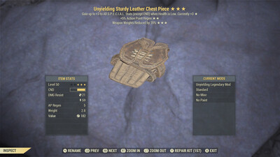 Unyielding AP WWR Leather Torso