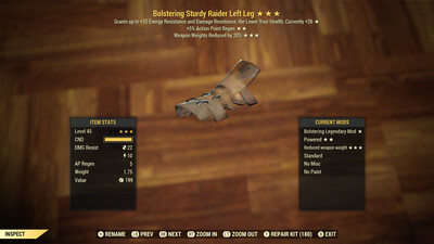 Bolstering AP WWR Raider LL