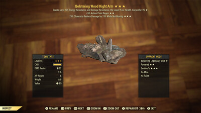 Bolstering AP Sentinel Wood RA