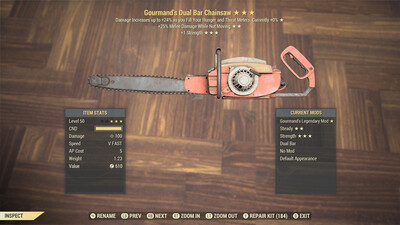 Gourmand 25/1S Chainsaw