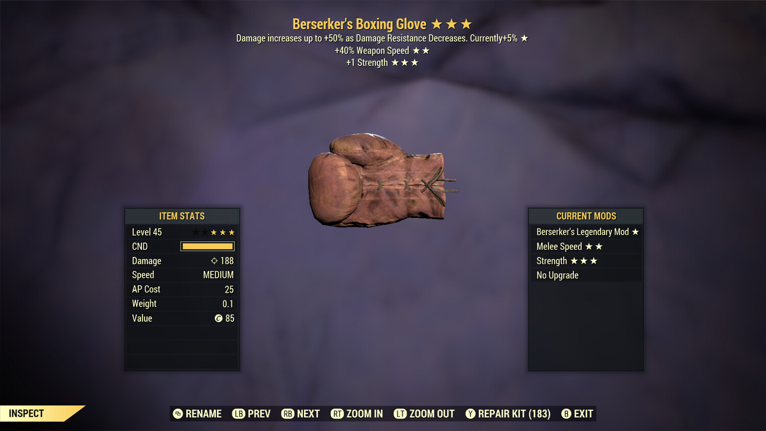 Berserkers SS/1S Boxing Glove