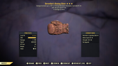 Berserkers SS/1S Boxing Glove