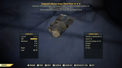 Vanguard Explosive HTD Marine Torso