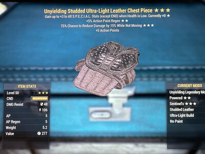 Unyielding AP Sentinel Leather Chest