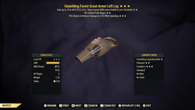 Unyielding AP Cavalier F Scout LL