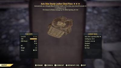 Auto Stim Intel Cavalier Leather Chest