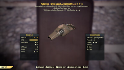 Auto Stim AP Cavalier F Scout RL