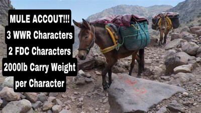 WWR/FDC Mule Account!!!