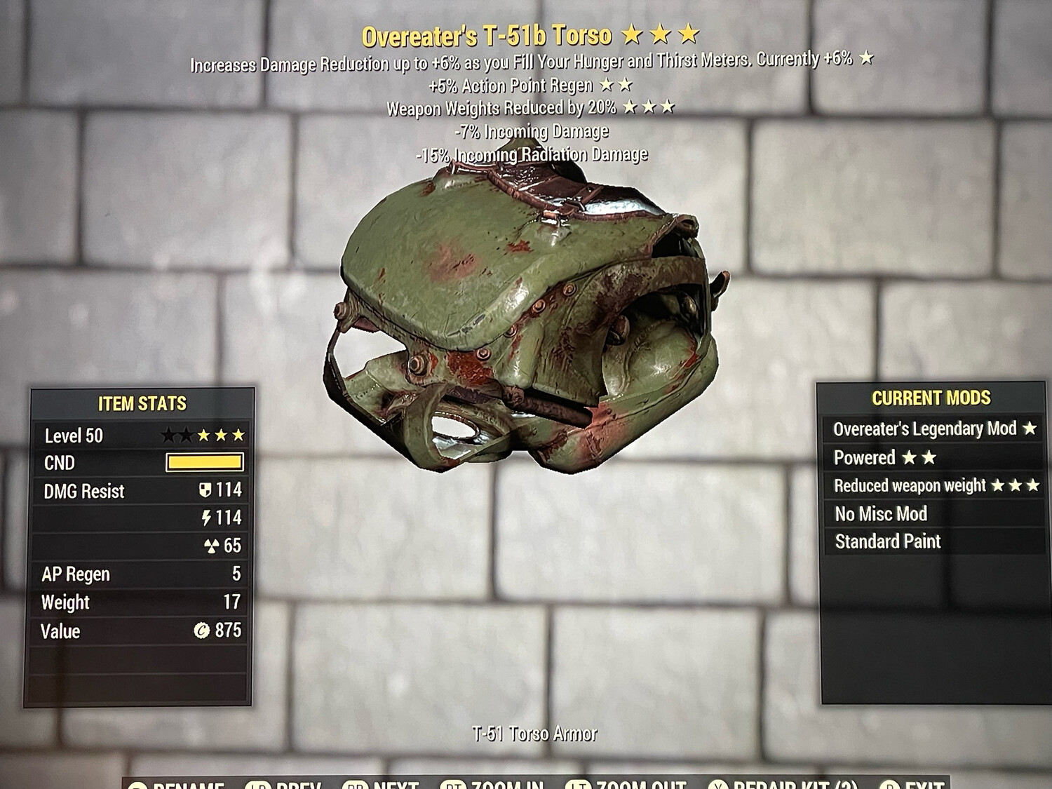 Overeaters AP WWR T51 Torso